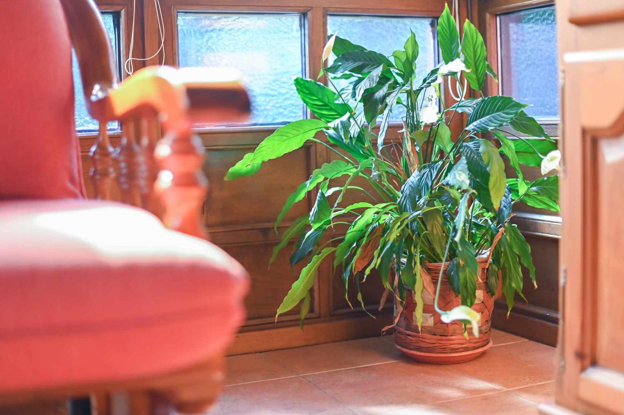 Apartamentos Rurales El Cuetu Picones  외부 사진